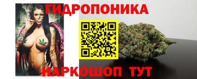 амф Краснознаменск