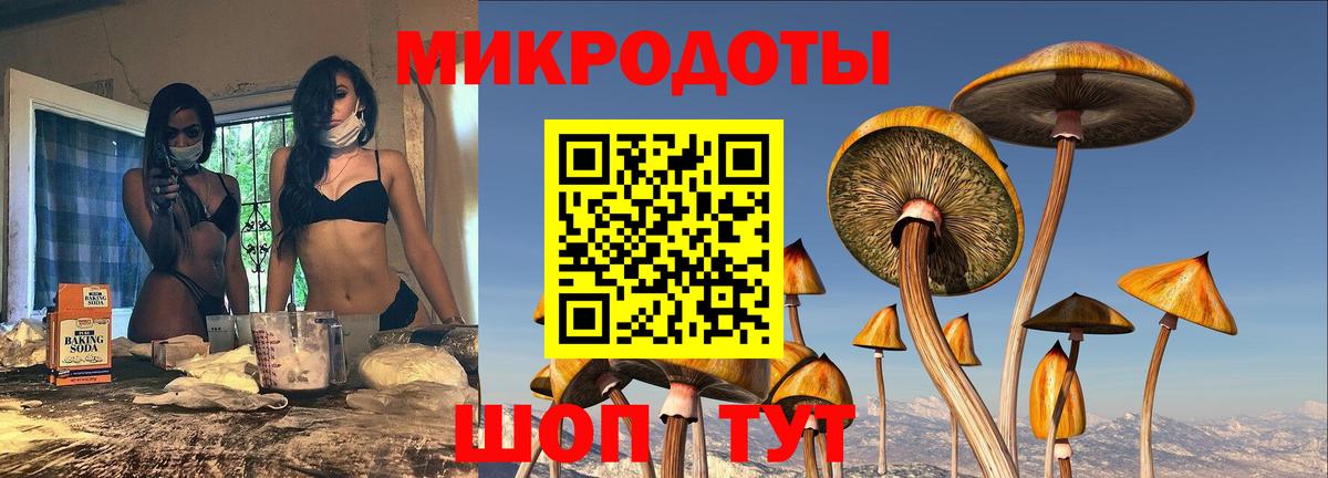 Вольск  магазин продажи   Вход с VPN  Псилоцибиновые грибы Cubensis 