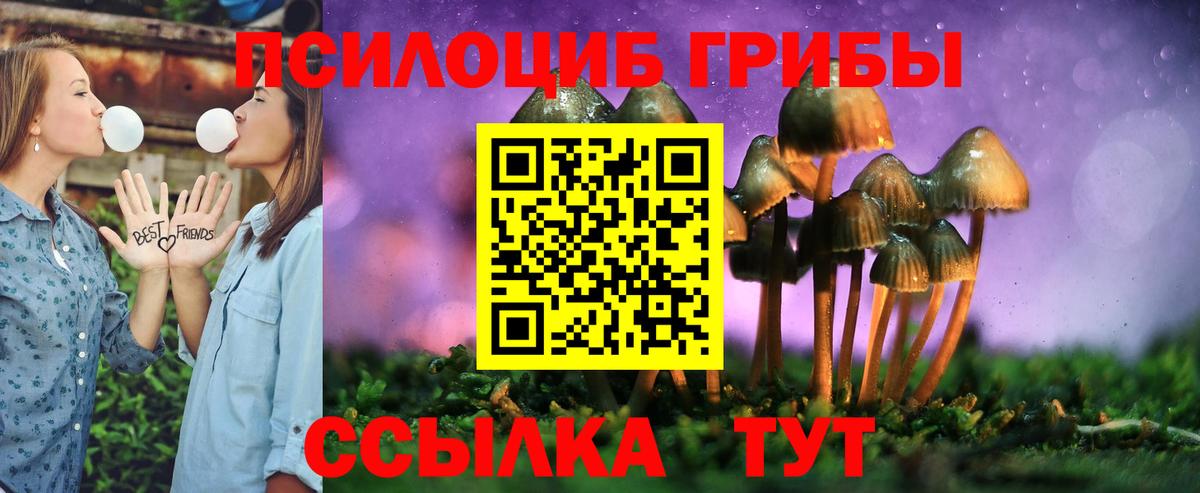 Псилоцибиновые грибы Cubensis Вольск